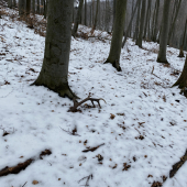 Aj minuloročný poteší