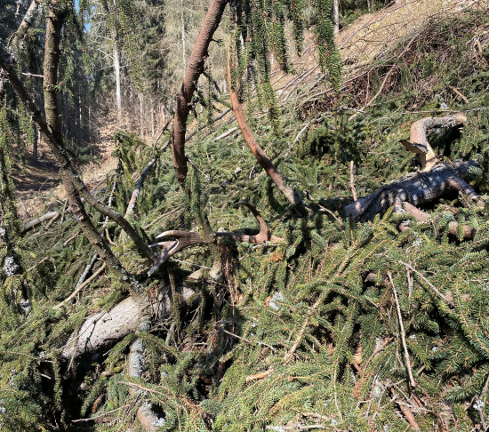 Skrytý neskrytý idem