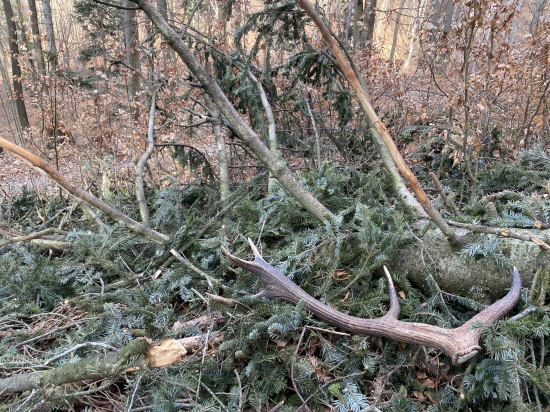 Pohľady ktoré ma robia šťastným