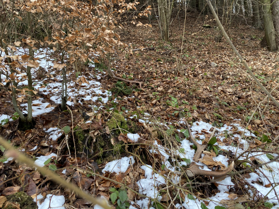 Párka 14 toráčika