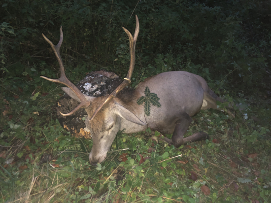 Diana dopriala vďaka jej prvý je prvý