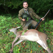 Jelenica na rannej pochodzke.