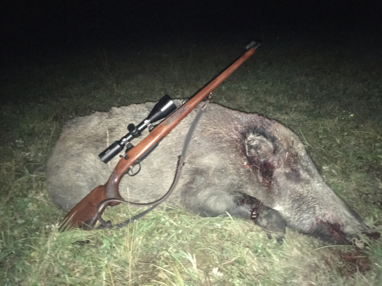 Dlho očakávaný návrat