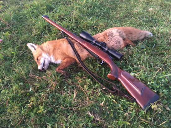 Dlho očakávaný návrat časť 2.