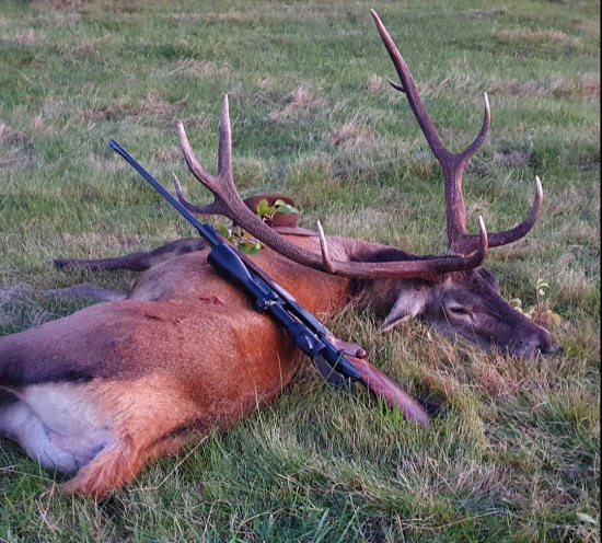 Na záver jelene ruji...