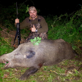 Kanček v splnovom tieni lesa