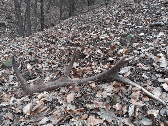 Ked ideš spravnim smerom