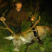 Jelenia ruja 2021 Cergov