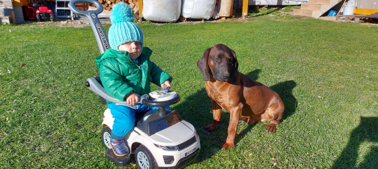 Viktorko a Endi Uhliska