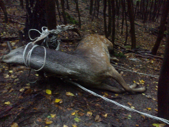 Krute a smutne čistota v Nasej prirode