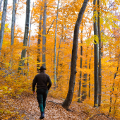 Kulminácia jesene :)