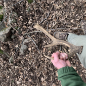 Starší ale potešil