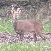 Aký vek mu tipujete?
