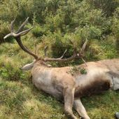 Môj strieborný 2020