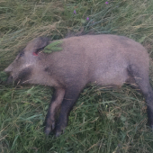 Konečne sa šťastie unavilo : )