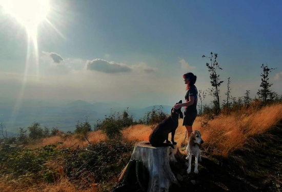 Pozdní odpoledne ...