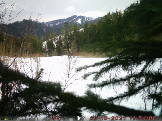 Tento pán mi vymazal fotopascu