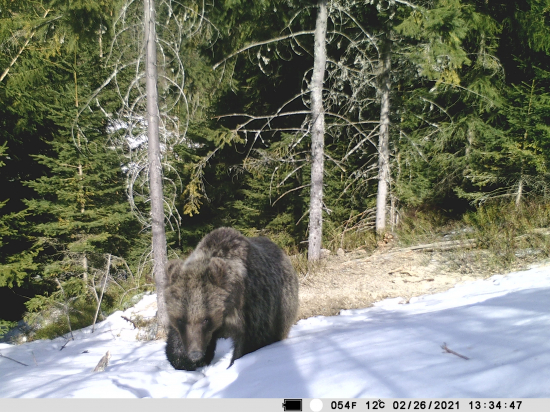 Musím si na neho dávať pozor