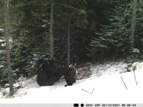 Ešte predviedli váľanie sudov