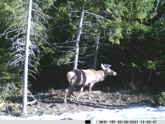 Ani starý otec nebol sob