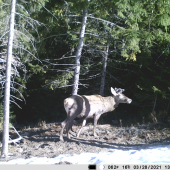 Ani starý otec nebol sob