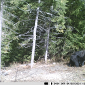 kde sa tu vzal BARIBAL ?