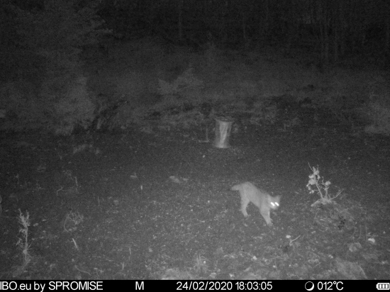 Po dlhšom čase opäť prišiel