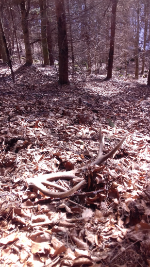 Na slniečku -kamarátov