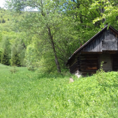 Štálik