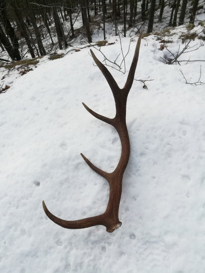 Niečo z minulého roku