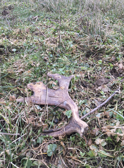 kosacka bola rychlejsia