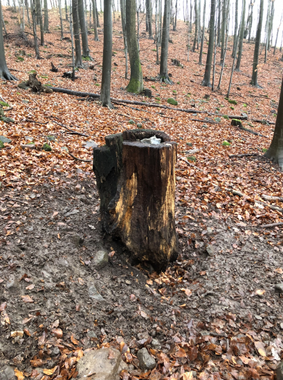 jednoduchost splna ucel