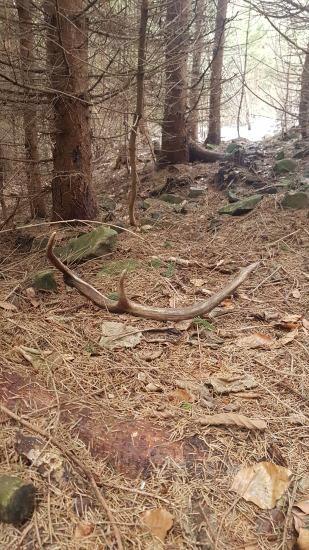 č.2, 14.3. 2021 Minuloročný šesták