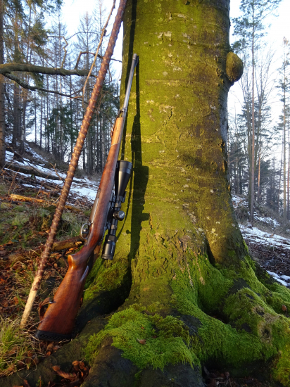 Raňajšie pristavenie