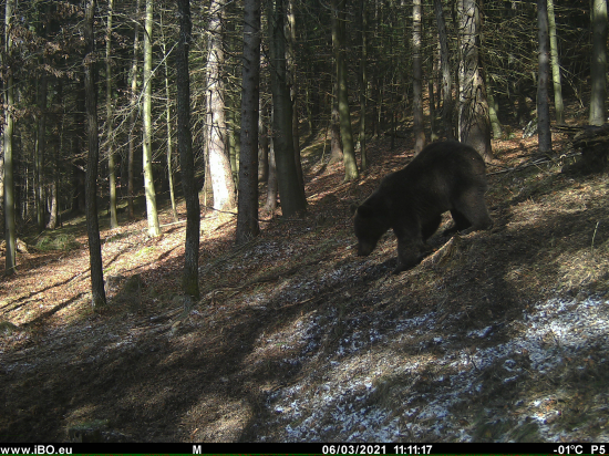 Hľadá sa niečo pod zub...