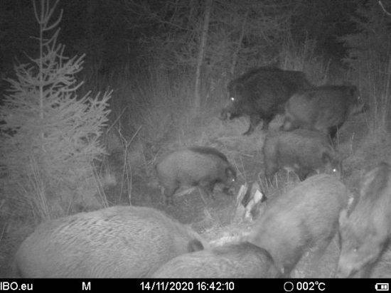 Všetci chceli byť na fotke