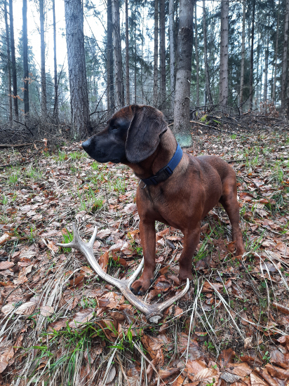 Všetko je o šťastí