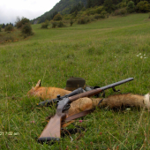 Trpezlivosť lišiaka prináša