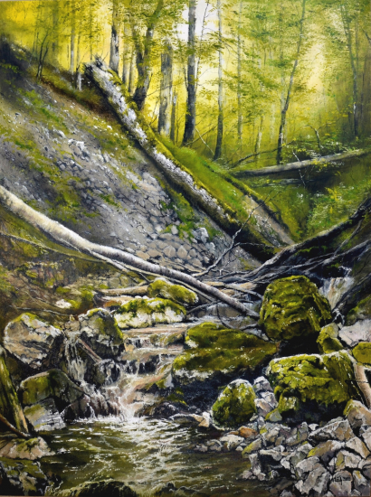 V Čertovej doline I.