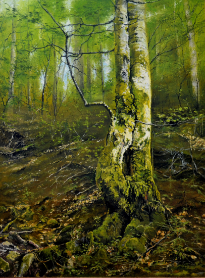 Stromy v rokline II.