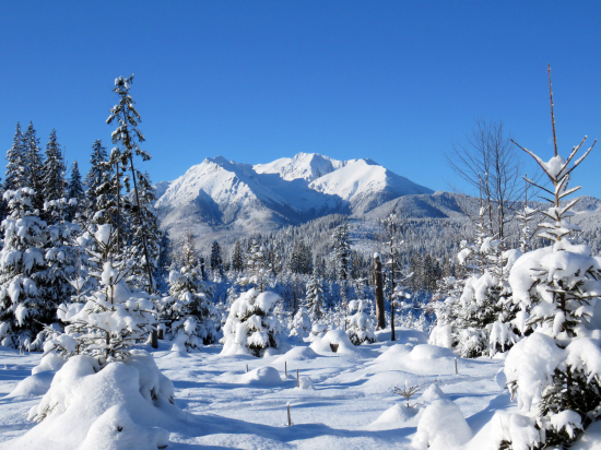 keď je rozprávková zima :)