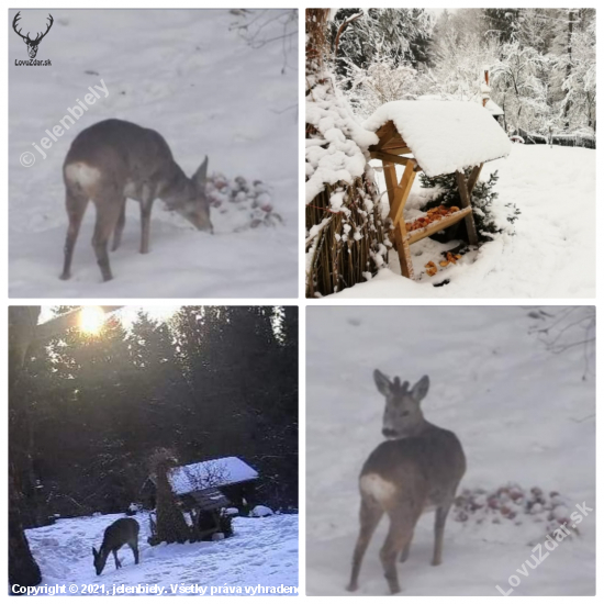 Jabĺčka vždy potešia...