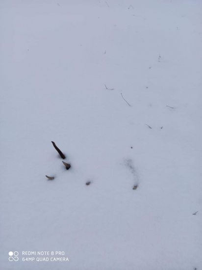 Ach ten prvý pohľad