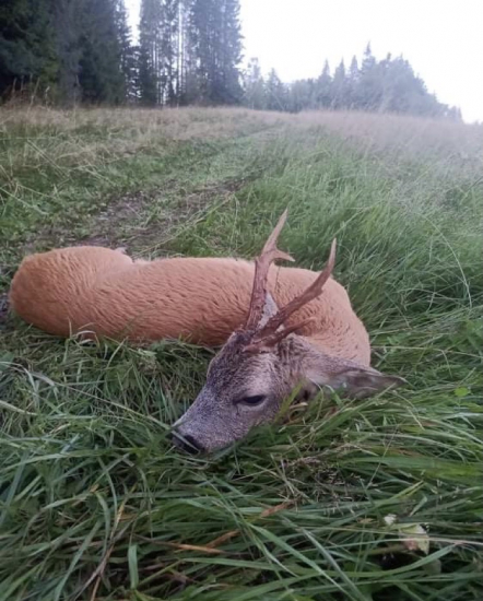 Raritka