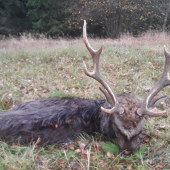 Stříbro,již běžná věc....