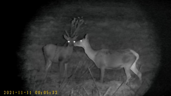 Ešte pusu a ideme domov.