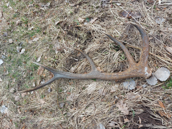 Včera po ceste domov...