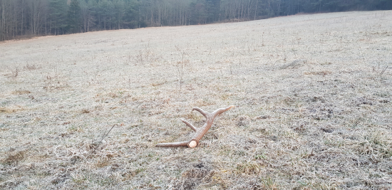 Ked si prvy v hore..