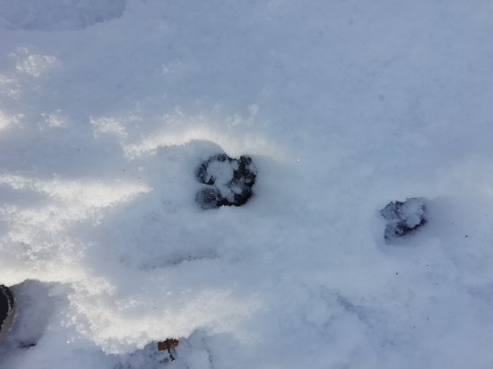 Neaka váha tam bude :)