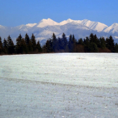 Tatranská